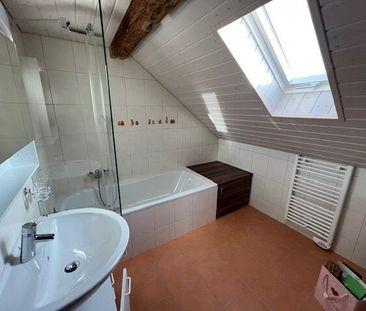 Spacious 6.5pces terrace and garden - Photo 6