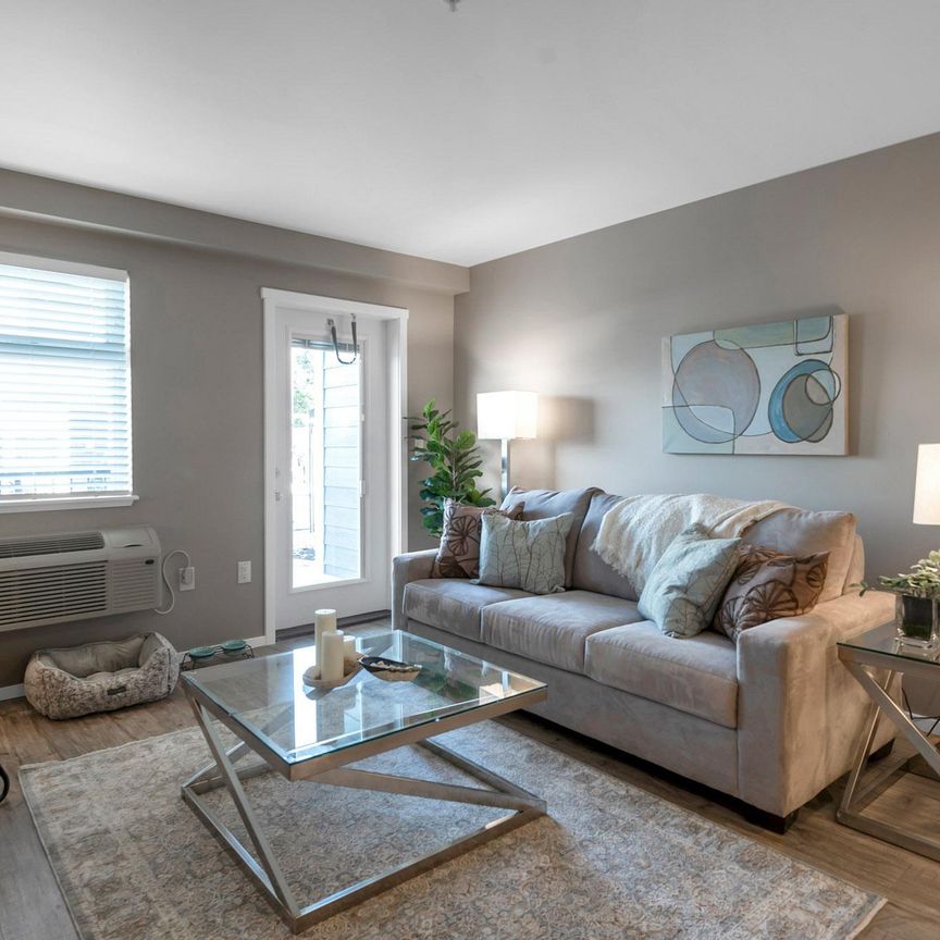 One Bedroom One Bath - Photo 1