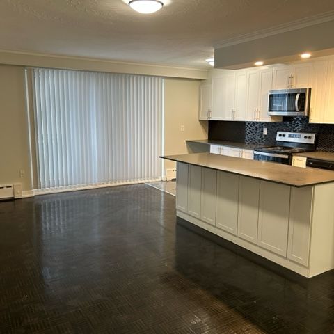 Shoreline Lakeview 1 Bedroom Unit Beautifully Renovated with balcony - Photo 1