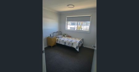 HIGH, WIDE & HANDSOME - Photo 4