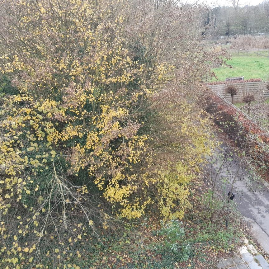 Dakappartement te huur in Oudenaarde - Foto 1