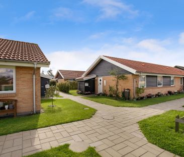 Attraktivt 1-plans rækkehus med egen have og parkering - Foto 3