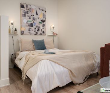 650 Wellington - DOMO -Studio, Ville-Marie (Centre-Ville et Vieux-M... - Photo 5