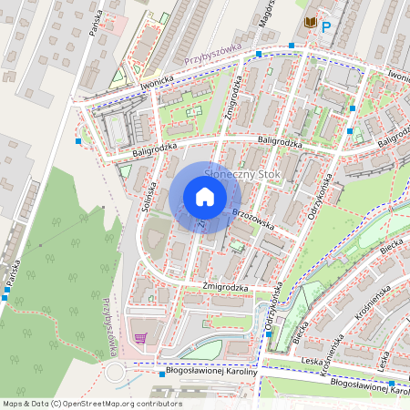 ul. Żmigrodzka, Franciszka Kotuli, Rzeszów, podkarpackie