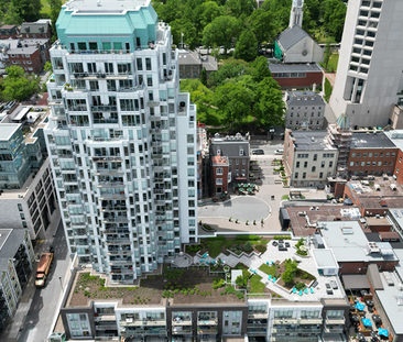 The Alexander - Photo 6