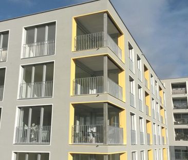 Tolle Single-Wohnung - Photo 5