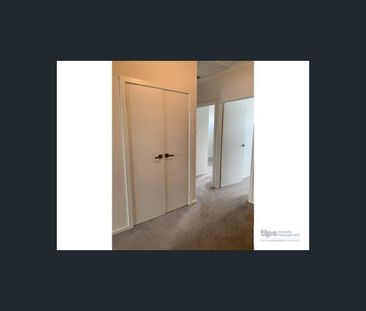 45 Nottage Road, Lightsview, SA 5085 - Photo 5