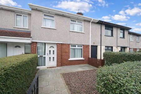 3 Windsor Avenue, Lisburn, BT28 1EE - Photo 3
