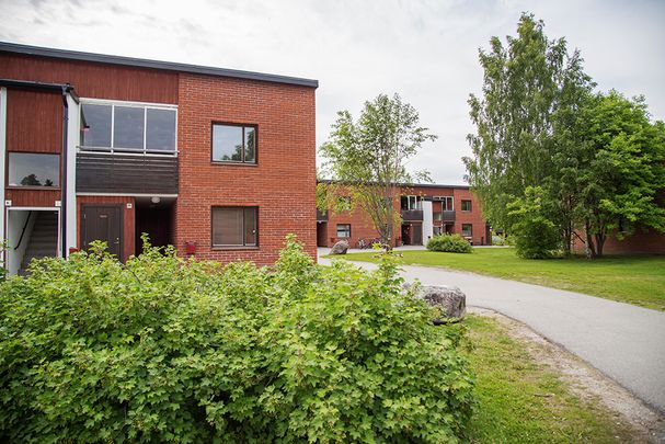 Ankarskatavägen 76 L, 94164, Piteå - Foto 1