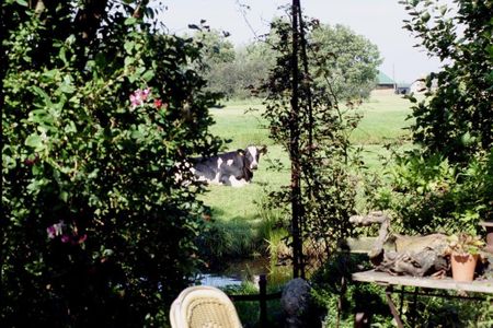 Te huur: Huis Amstelkade in Wilnis - Photo 5