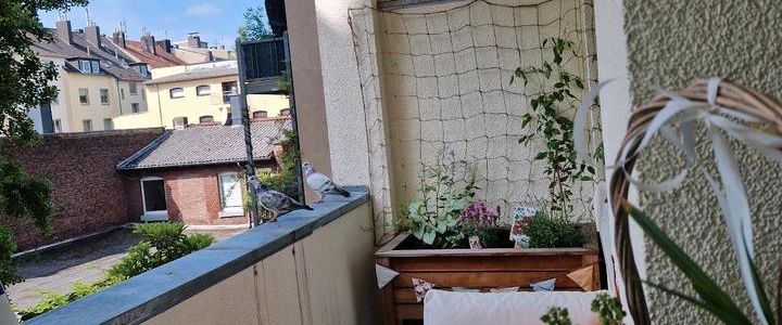3 Zimmer Wohnung mit Balkon - Foto 1