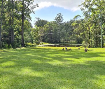 Modern Four Bedroom Rural Retreat - Photo 3