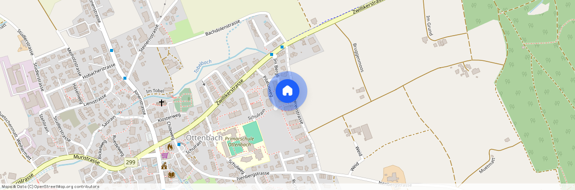 8913, Ottenbach, Pilatusweg, 11