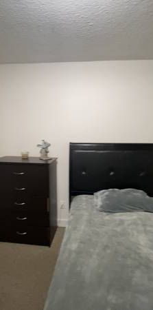 Downtown One bedroom fully furnished - Photo 1