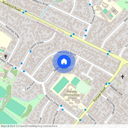 10 Raglan Street, Mangere East, Manukau City