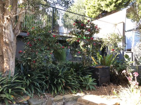 36 Beacon Avenue, Beacon Hill, NSW 2100 - Photo 4