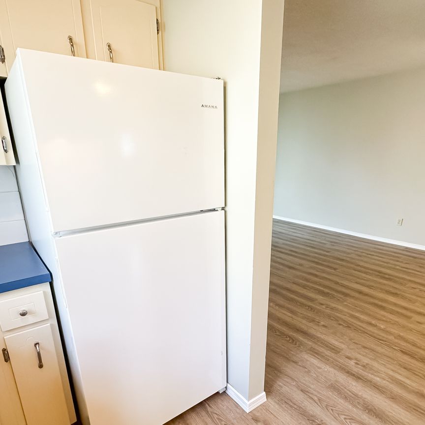 Main Floor Bowness Duplex: Utilities Included. - Photo 1