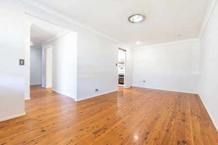 Ready To Entertain! - Photo 4