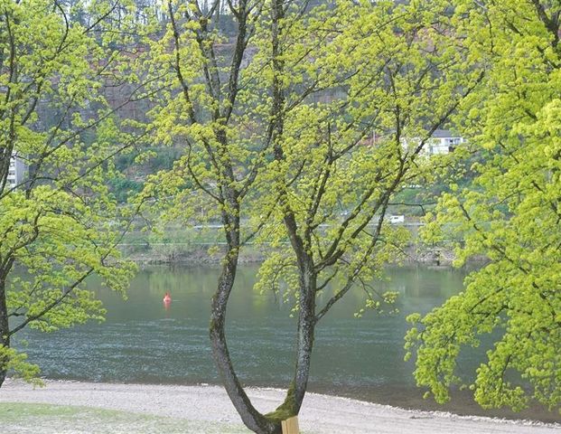 Trier: helle 2-ZKB-Wohnung mit EBK in bester Mosellage! - Photo 1