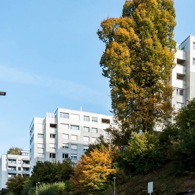 Nähe Stadtzentrum - Ruhige Aussichtslage - Photo 1