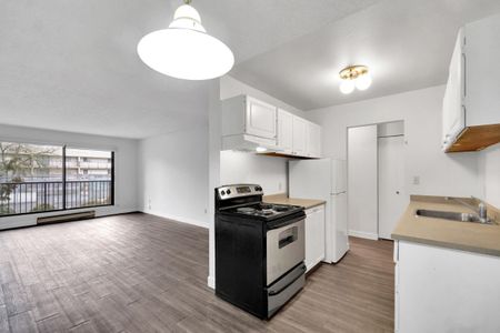 Dolphin Square Apartments - 1 Bedroom - Photo 4