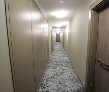 Appartement T2 Meudon à louer - Photo 6