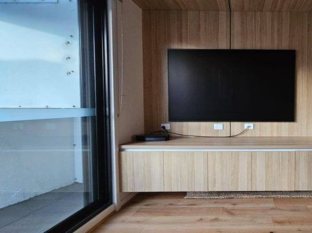 Fully furnished| Sub-Penthouse Living in the Heart of Braddon and City | Views to Black Mountain - Photo 4