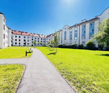 2-Zimmer-Wohnung in Stadtnähe - Foto 2