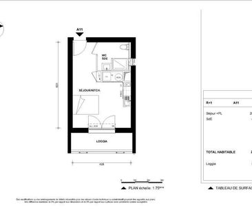 Location Appartement 1 pièce 25m² NOIRMOUTIER EN L ILE 85330 - Photo 2