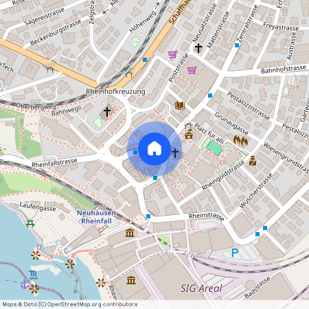 8212, Neuhausen am Rhein, Wildenstrasse, 1