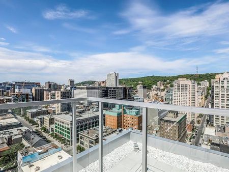 1239 Rue Drummond - Photo 4