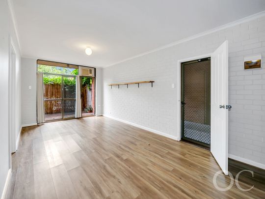 Open the Door to a Private Courtyard Retreat with Northern Light - Photo 1