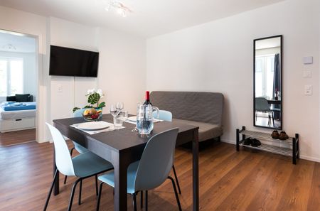 Grosszügiges möbliertes 2 Zimmer-Apartment mit Balkon in Zürich-Altstetten - Photo 3