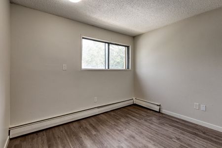 Renovated Suite - 1 Bedroom - Photo 3