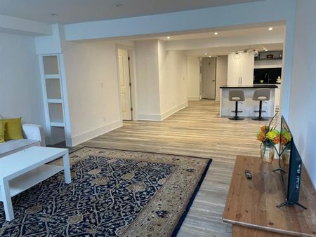 For Lease - 39 Rossini Drive Unit# Bsmt, Richmond Hill, Ontario - Photo 3