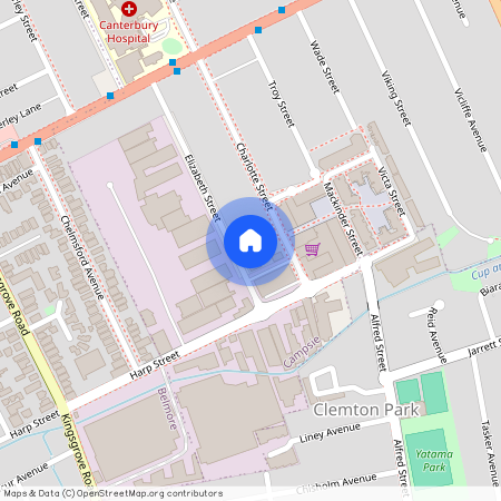 40 Elizabeth St, NSW 2194, Campsie