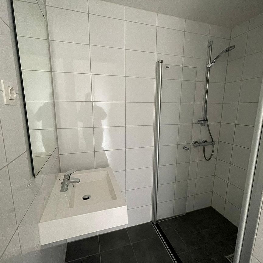 Pierre Lallementstraat 750 - Photo 1