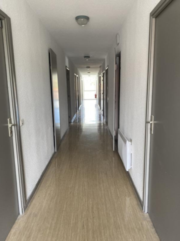 Location Appartement 1 pièce 19m² ANNONAY 07100 - Photo 4