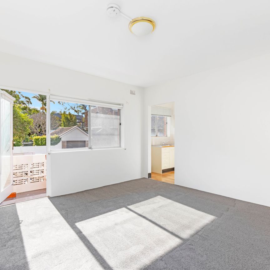 7/115 Flood Street, Leichhardt NSW 2040 - Apartment For Rent | Domain - Photo 1