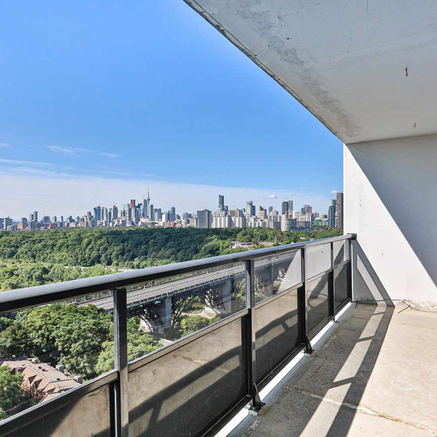 1 Bedroom Large - Photo 1