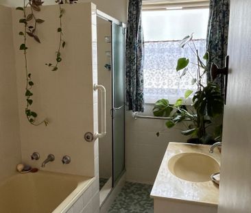 New Lambton - Photo 6