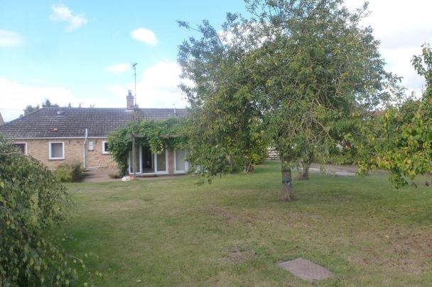 Old Feltwell Road - Photo 1