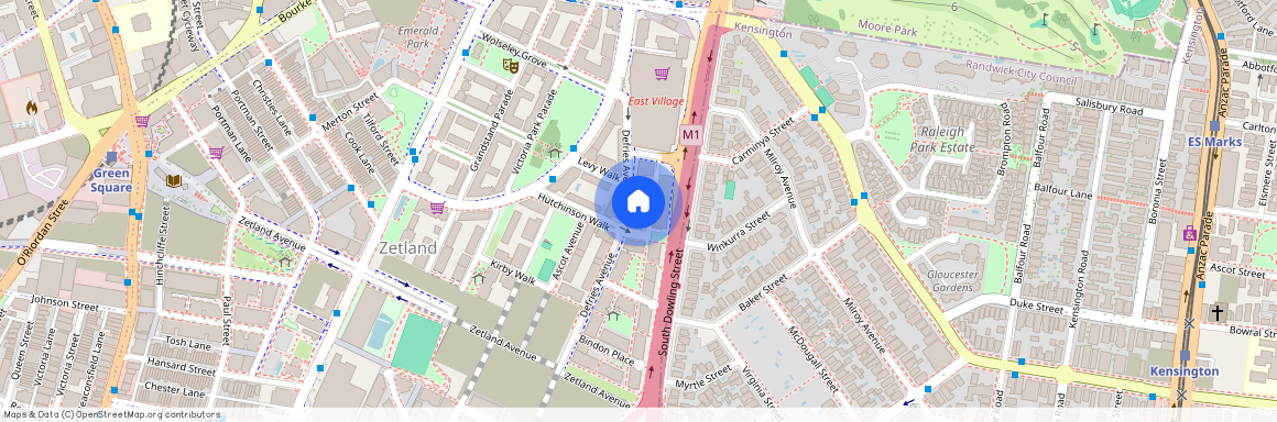 6 Defries Avenue, Sydney, New South Wales 2017