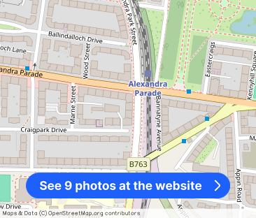 Alexandra Park Street, Dennistoun, G31 - Photo 1