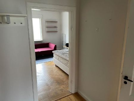 Danska vägen - Foto 2