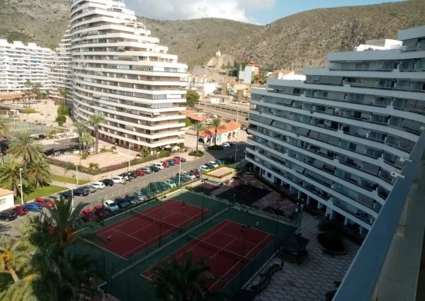 Cullera
