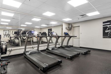 1140/1150 Fisher Avenue, Civic Hospital - Central Park, Ottawa, ON - Photo 5