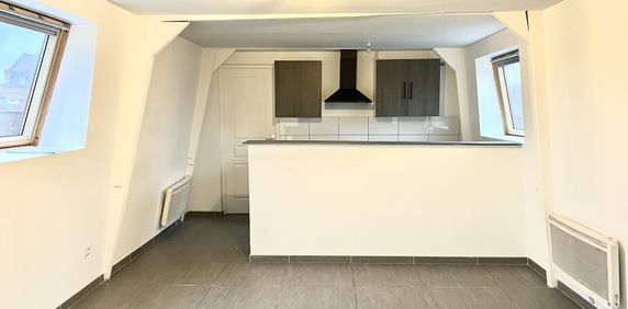Location Appartement 2 pièces 31m² ROUBAIX 59100 - Photo 2