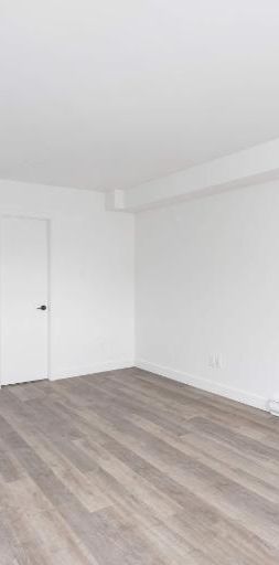 1 CH - 1 SDB - Montreal - $1,195 /mo - Photo 1