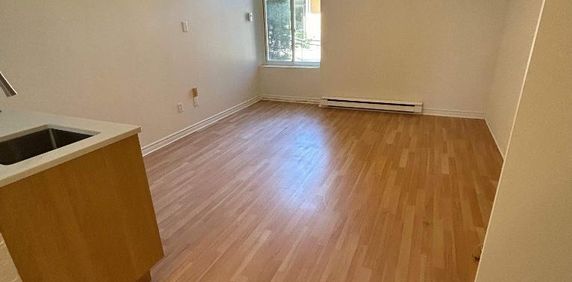 Studio - Saint-Charles-Borromée - $1,049 /mo - Photo 2